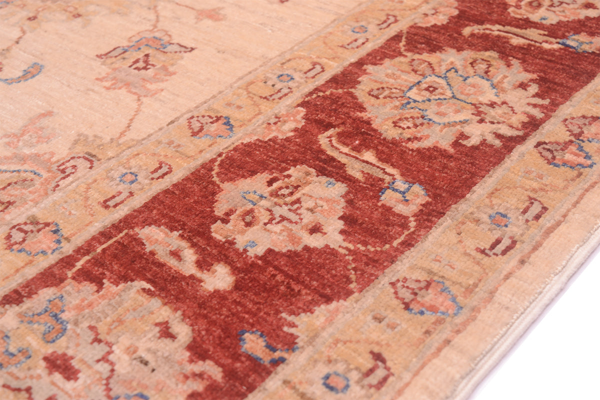 Detaling of rust red border with palmettes with outlinging of bluw and pink terracotta