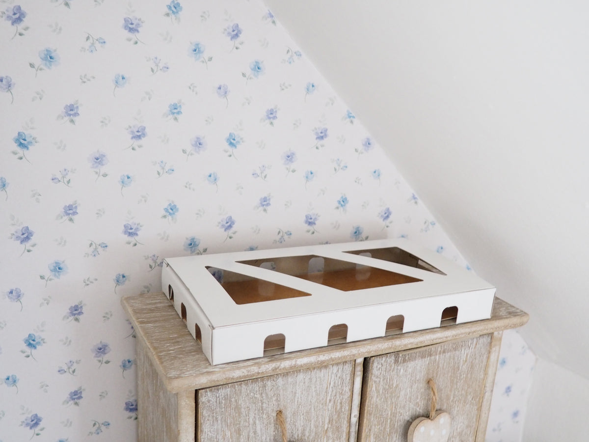 Moth Box